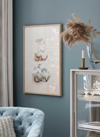 Seashell Road, Poster